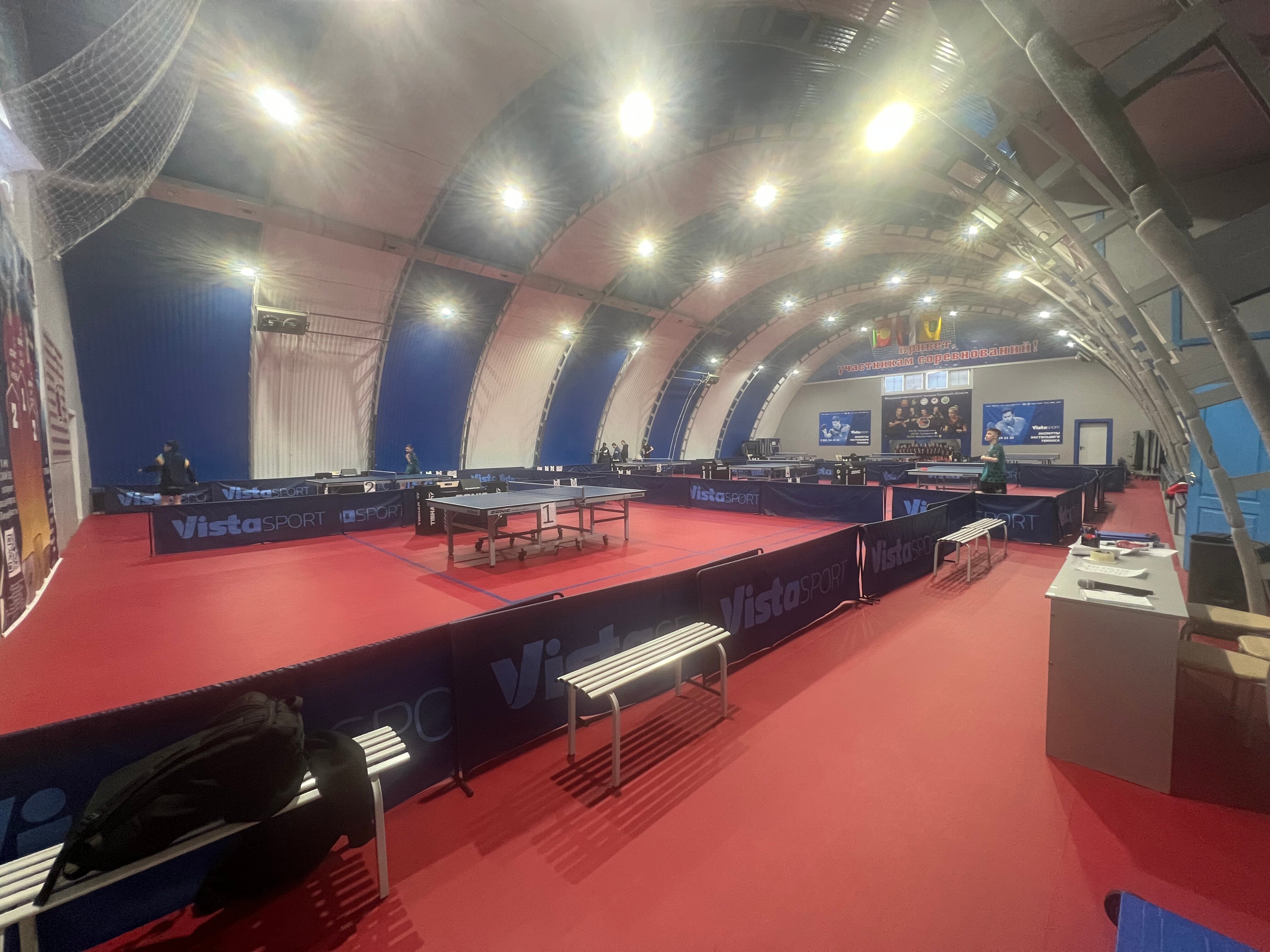 Фото Лебедь