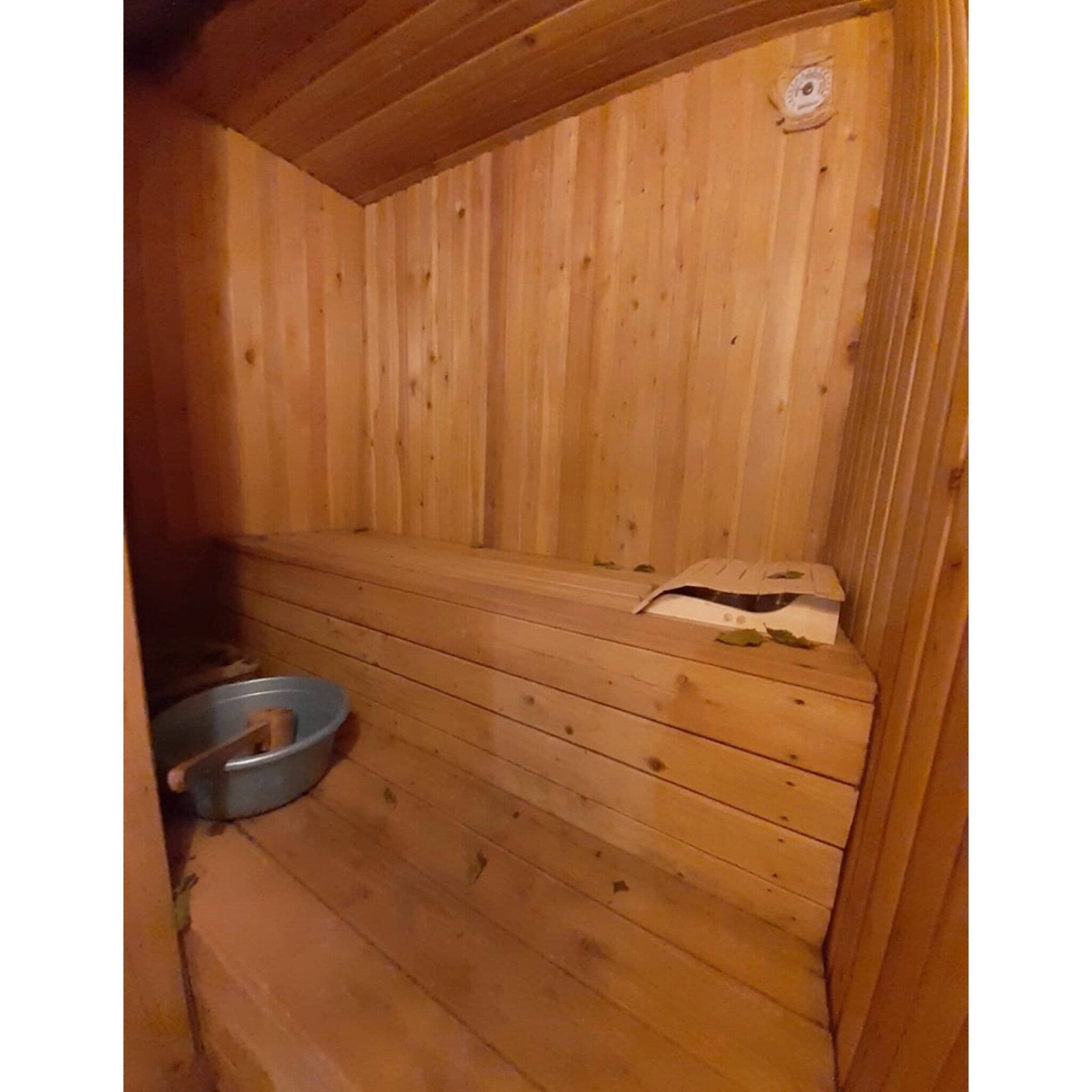 Фото Берёзка