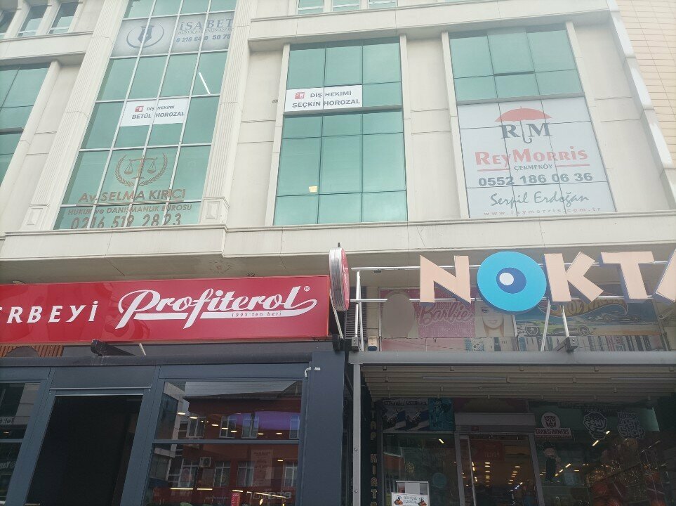 Haulage Trans Otto Ltd-Türkei, Istanbul, photo