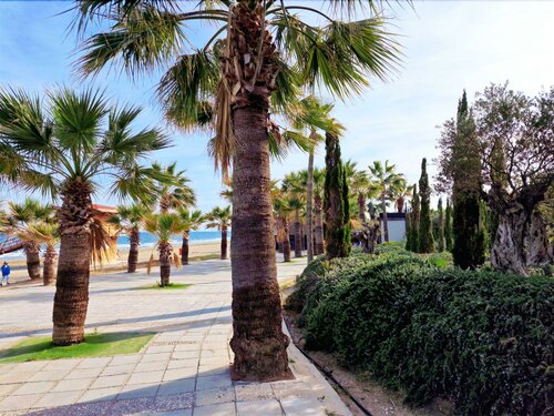 Гостиница The Ciao Stelio Deluxe Hotel в Ларнаке