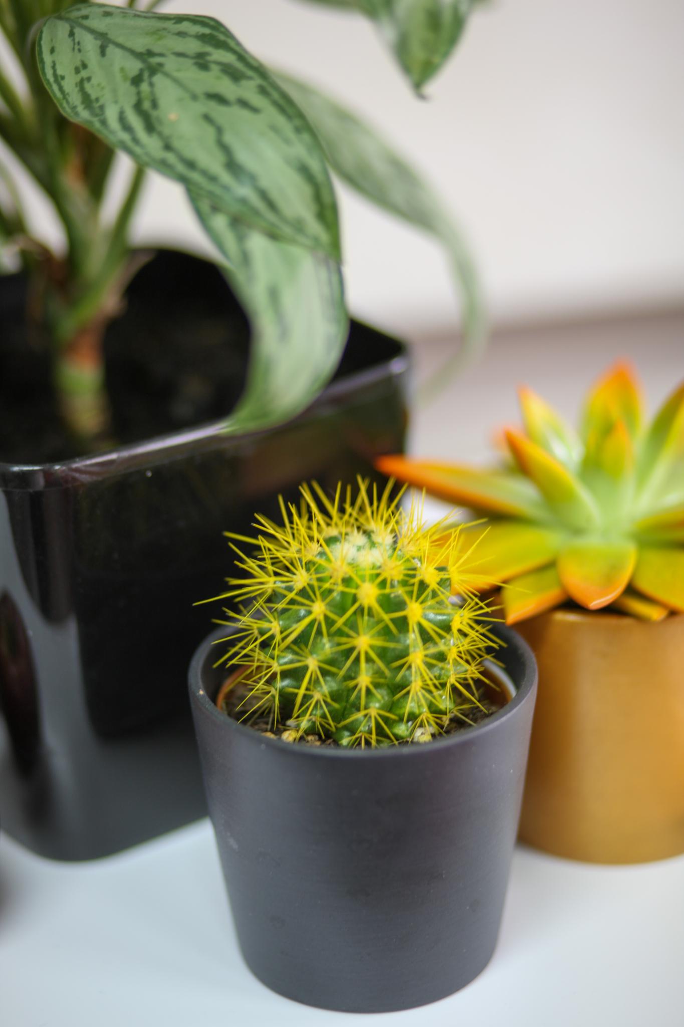 Фото Атмосфера