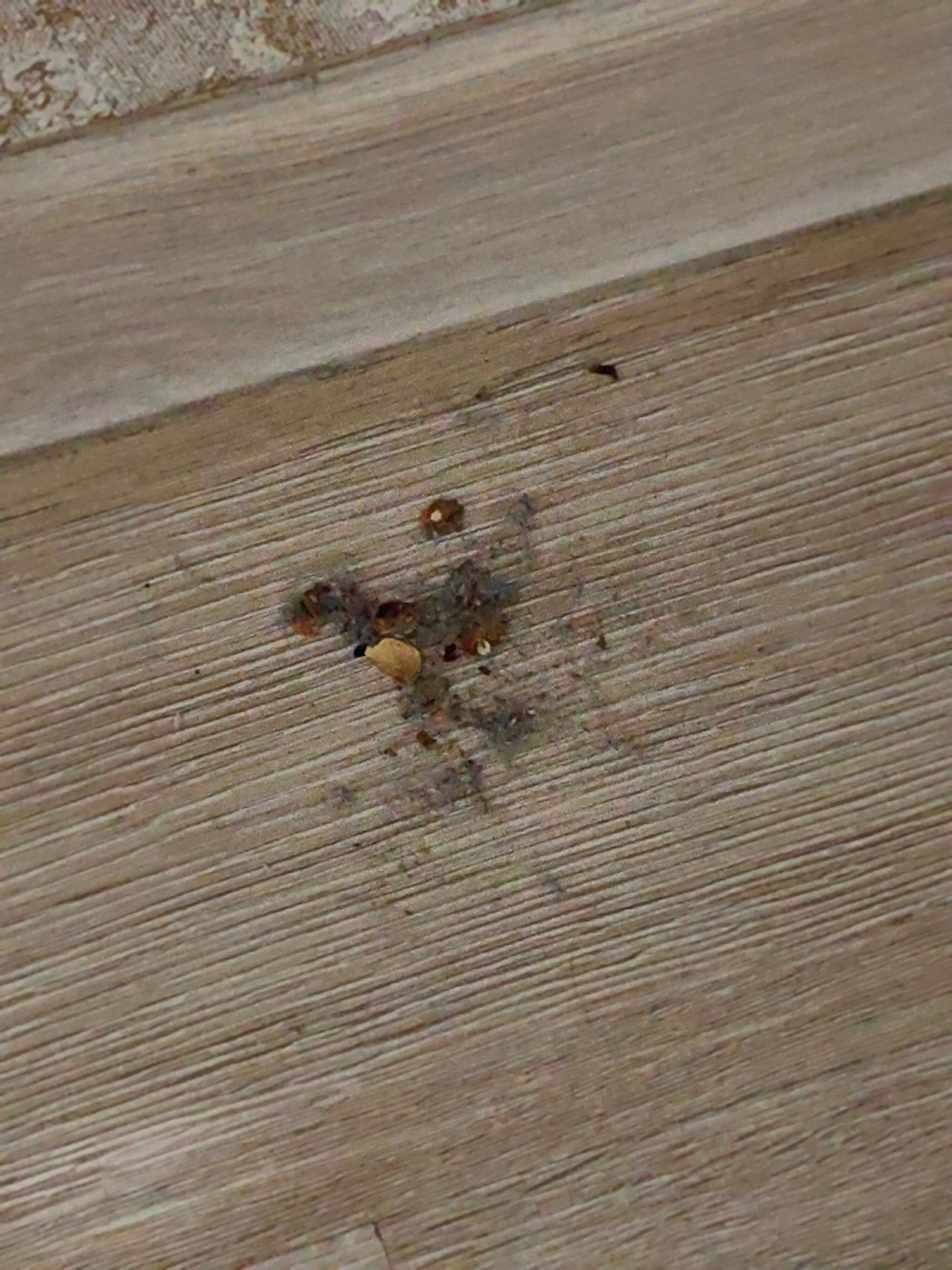 Фото Севинч