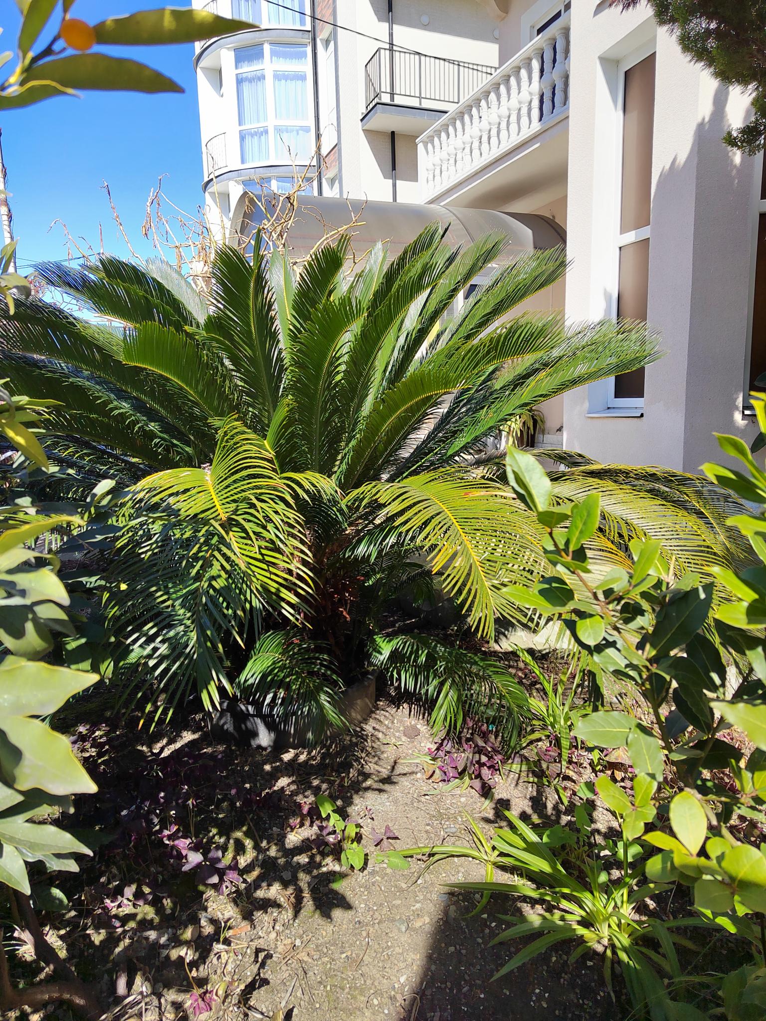 Фото Жемчуг