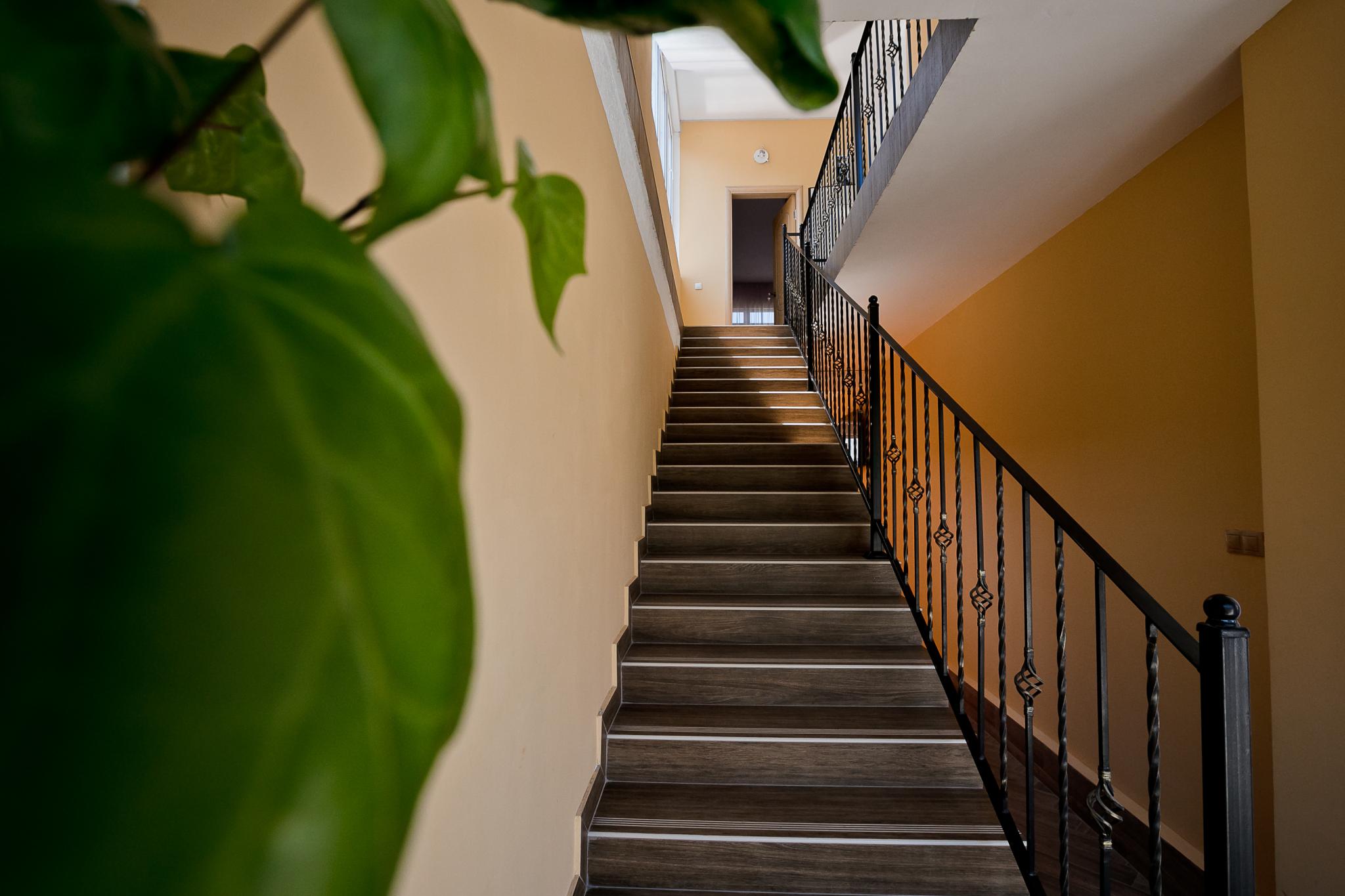 Фото Магнолия