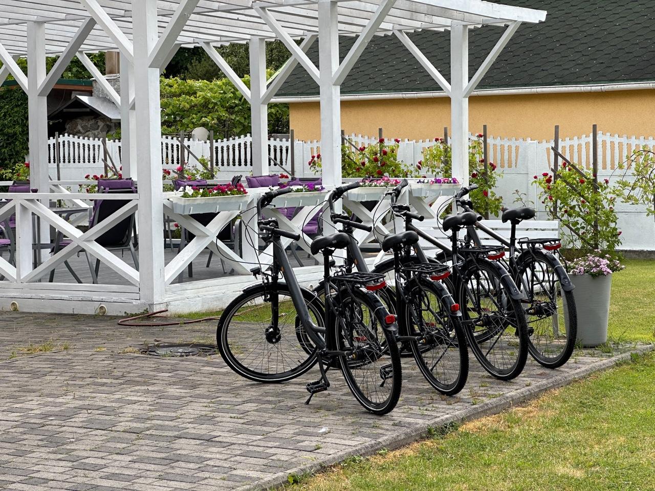 Фото Танзания