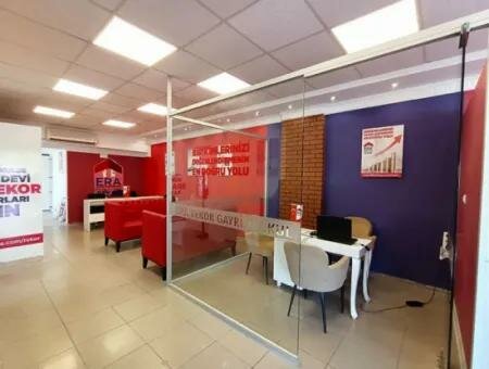 Travel agency Didim/Altinkum, Didim, photo