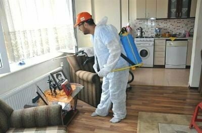 Disinfection, disinsection, deratization Hakan Pest Control, Antalya, photo