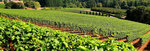 Lena Agriculture (Ankara Province, Yenimahalle, Serhat Mah., 1469. Cad., 63), fertilizantes