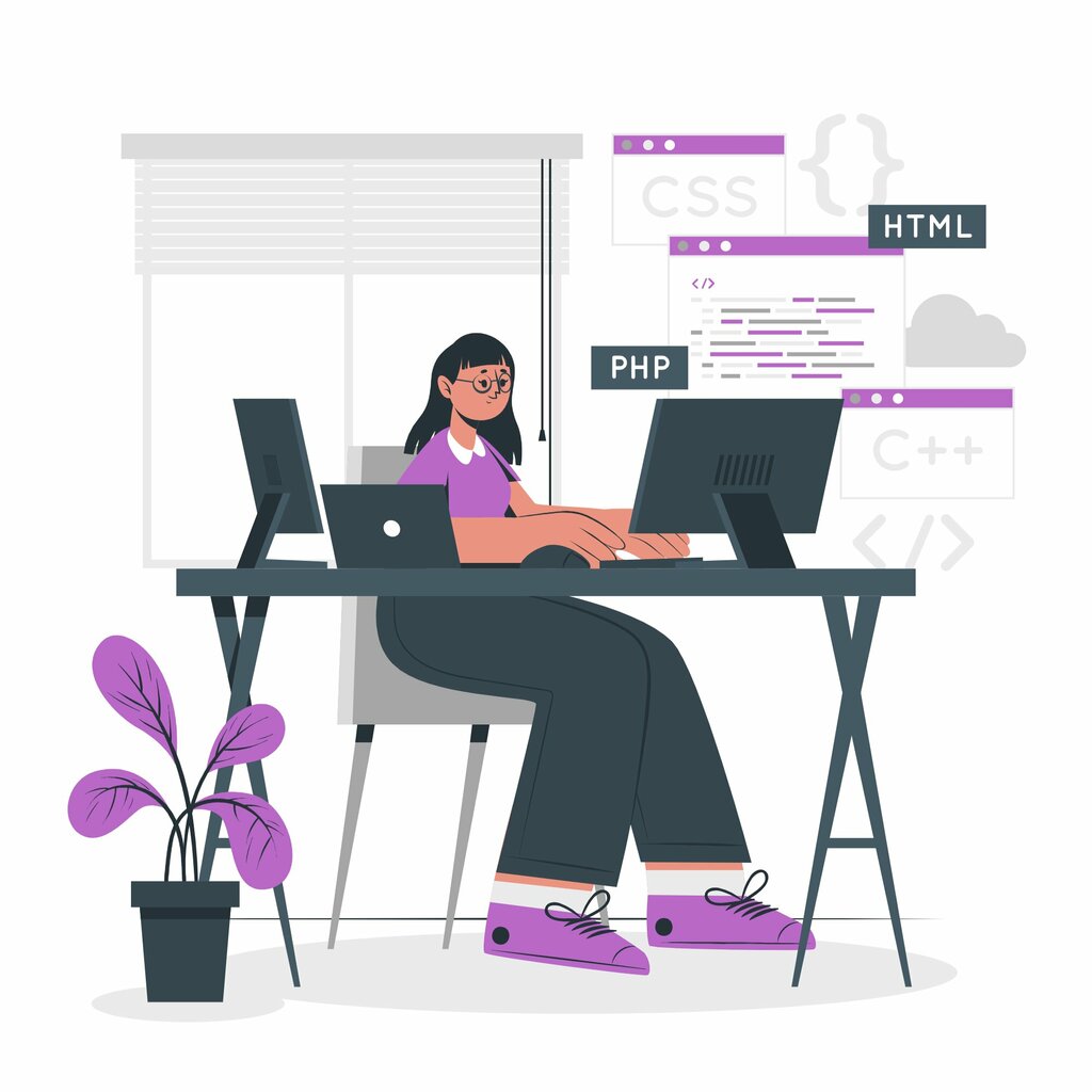 Software companies Pigasoft, Konya, photo