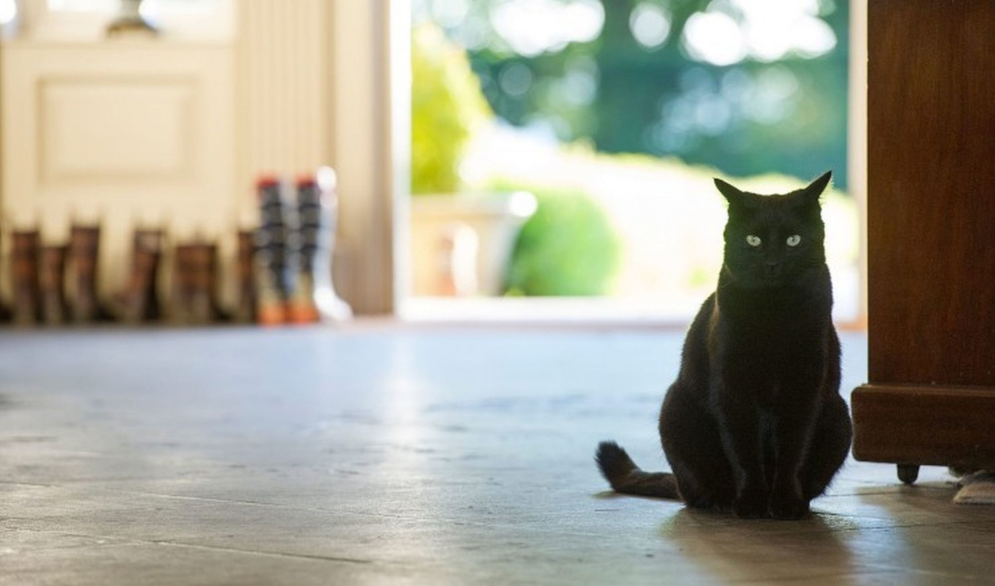 Фото The Elms Hotel and SPA