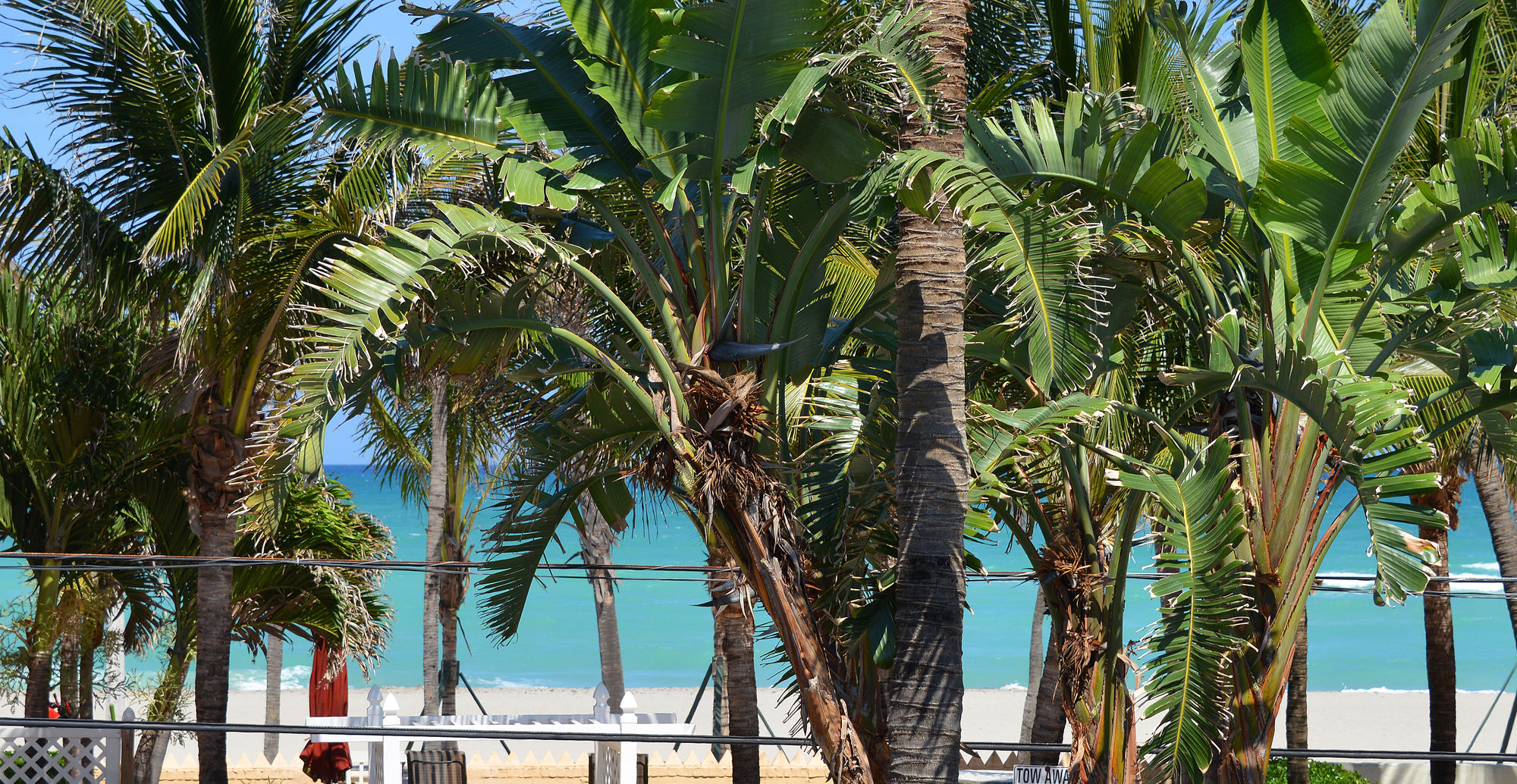 Фото Hollywood by the Sea