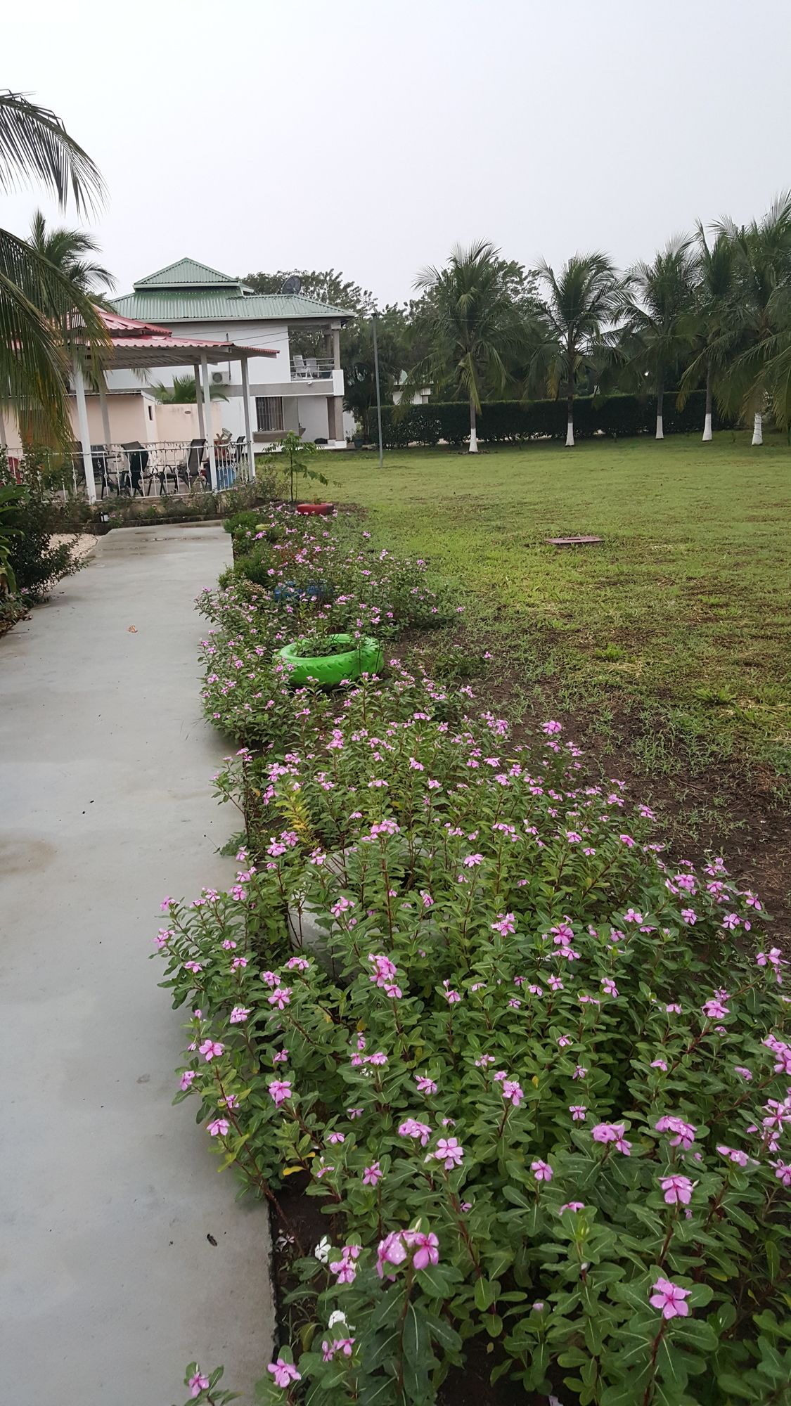 Фото Hotel La Arena