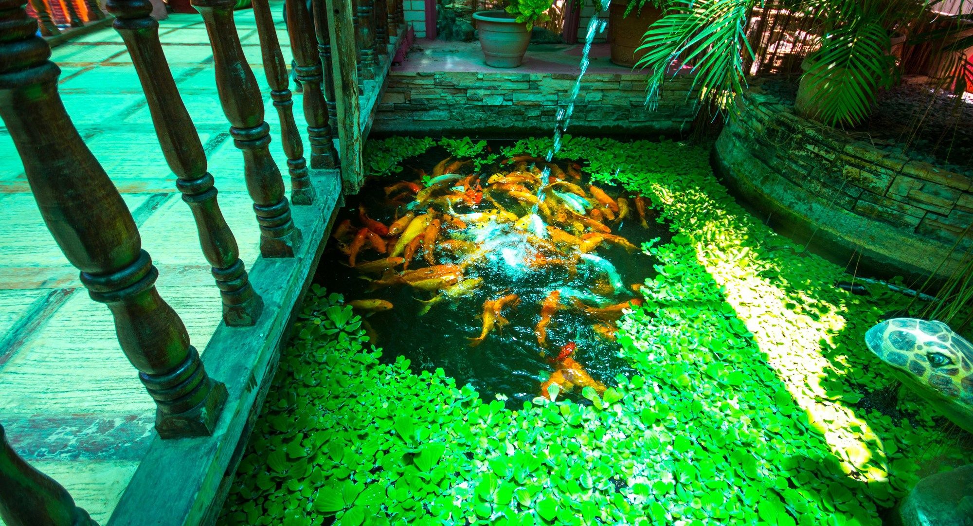 Фото Deep Forest Garden Hotel