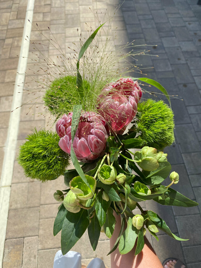 мишель жукова