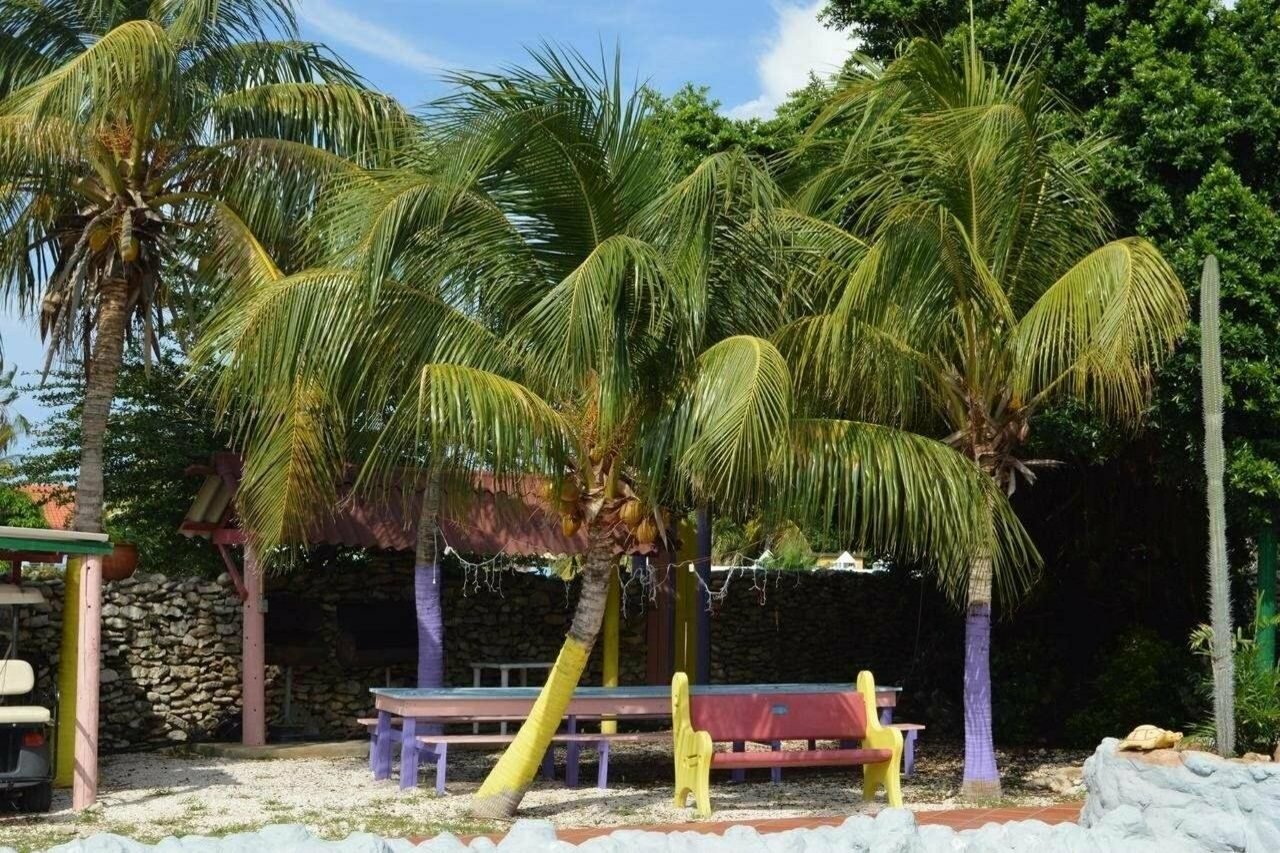 Фото Rancho El Sobrino