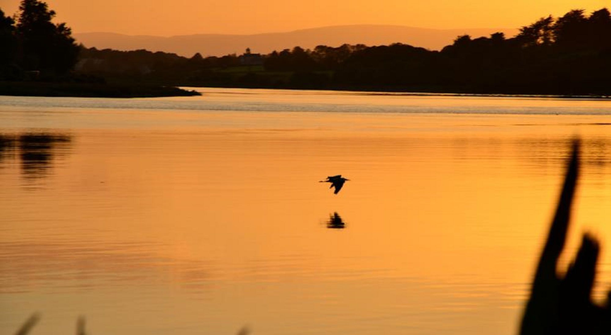 Фото Waterford Castle
