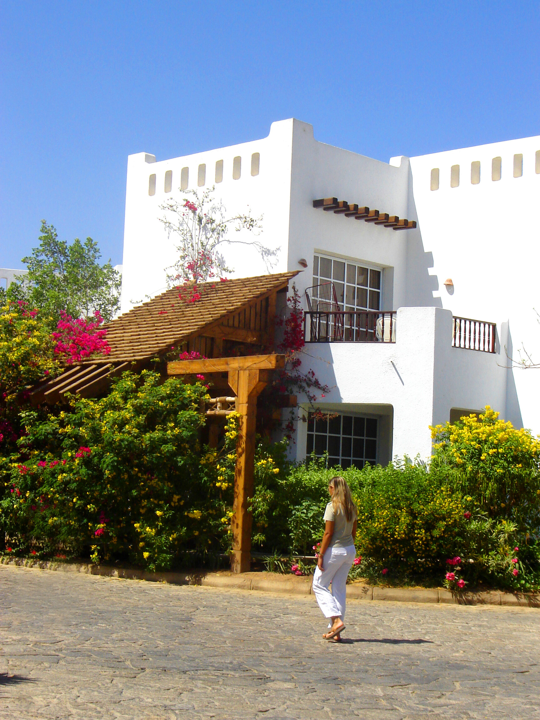 Фото Delta Sharm