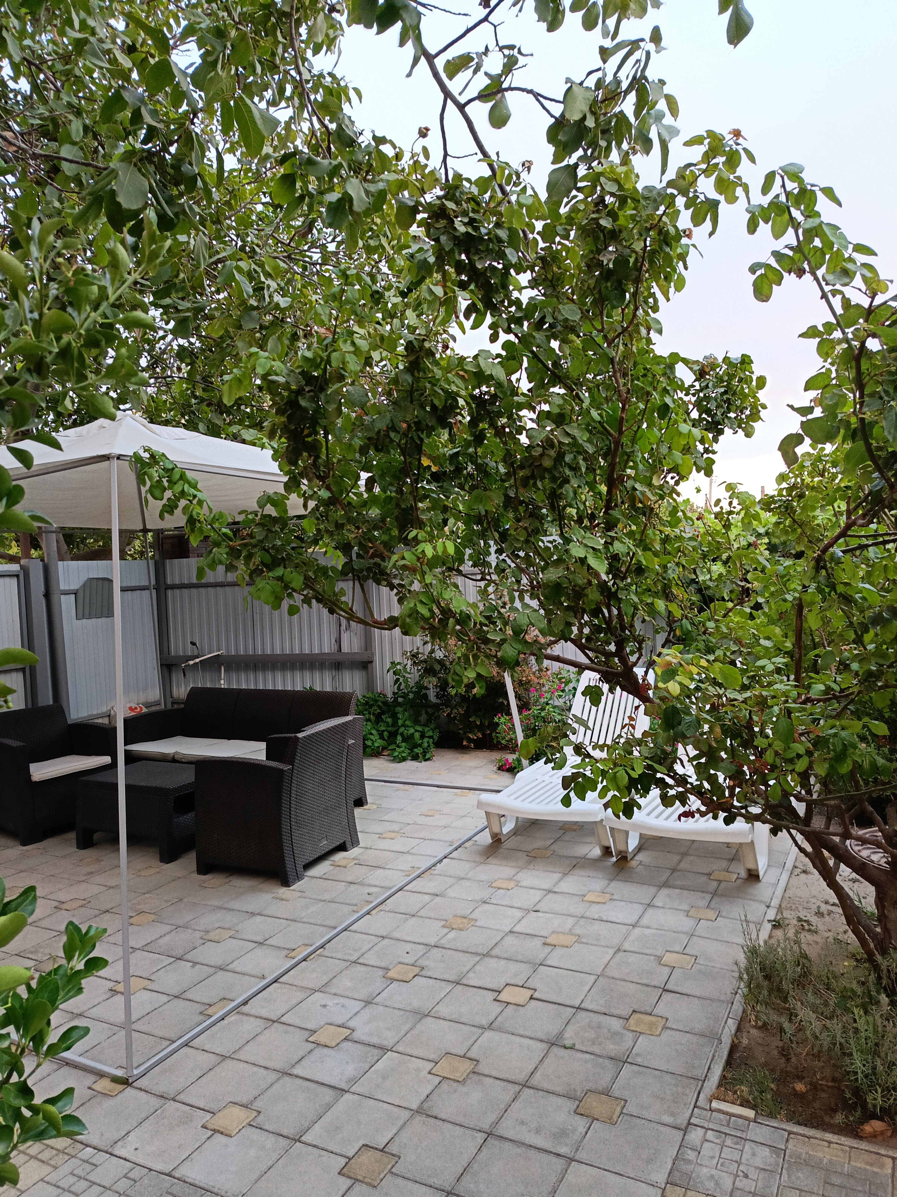 Фото Ореховый рай