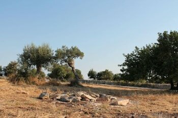 Фото Tenuta Zannafondo