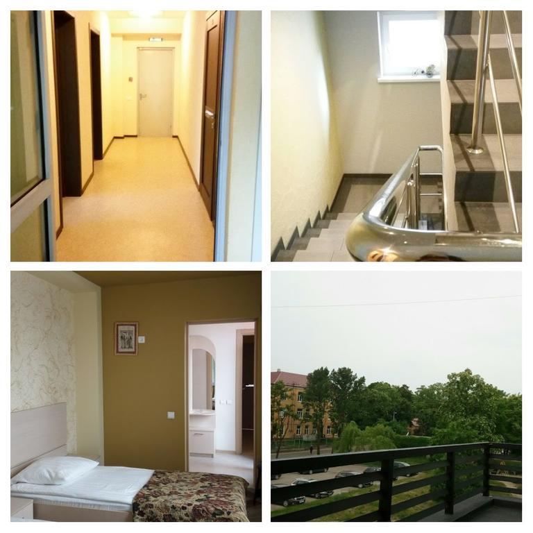 Фото Стрекоза