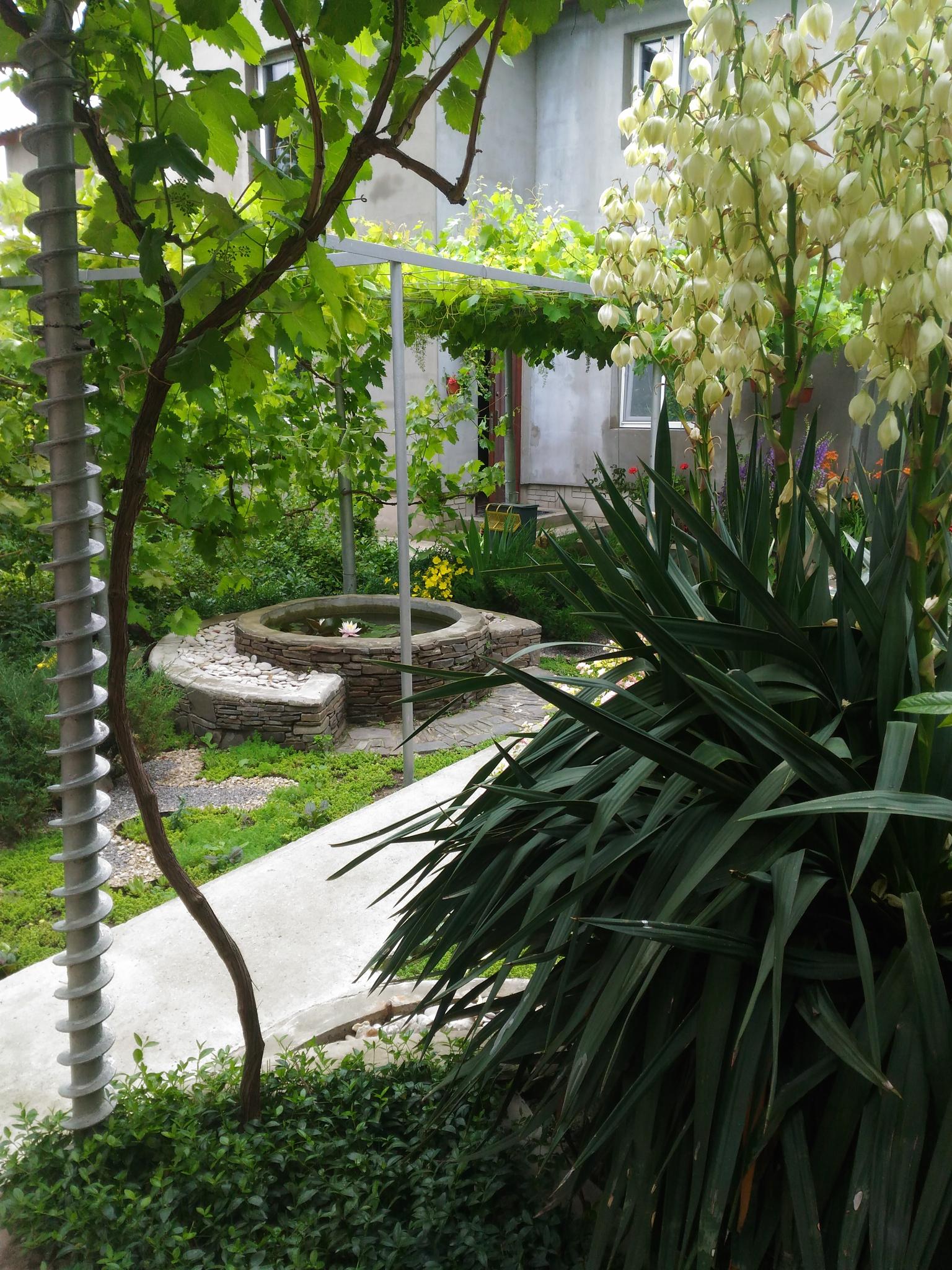 Фото На Октябрьской 5