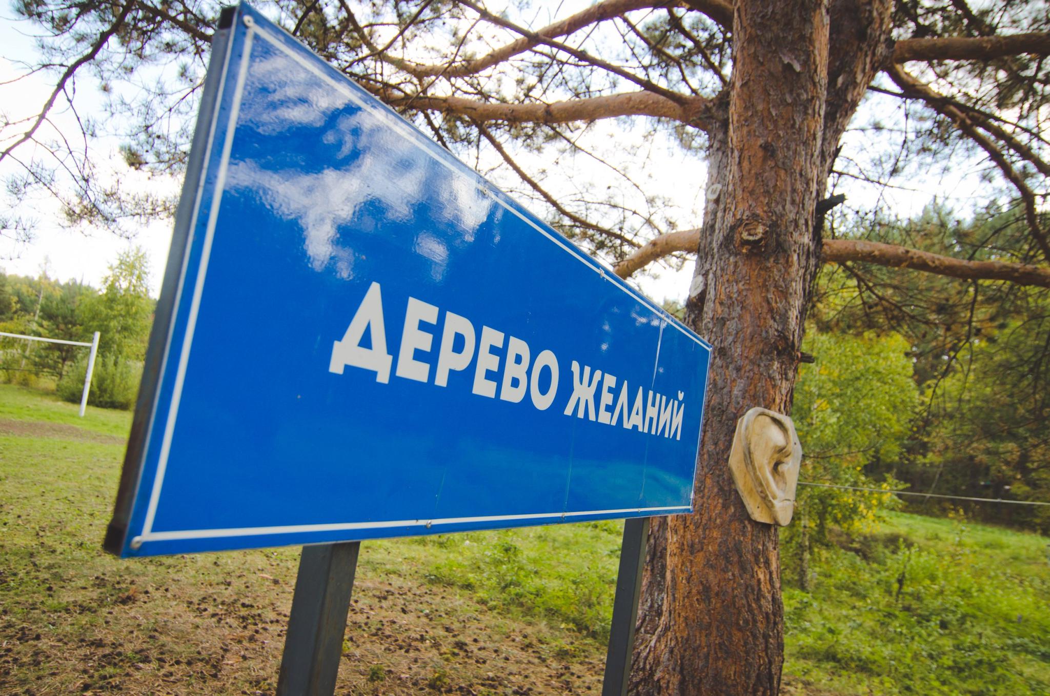 Фото Кипячий ключ