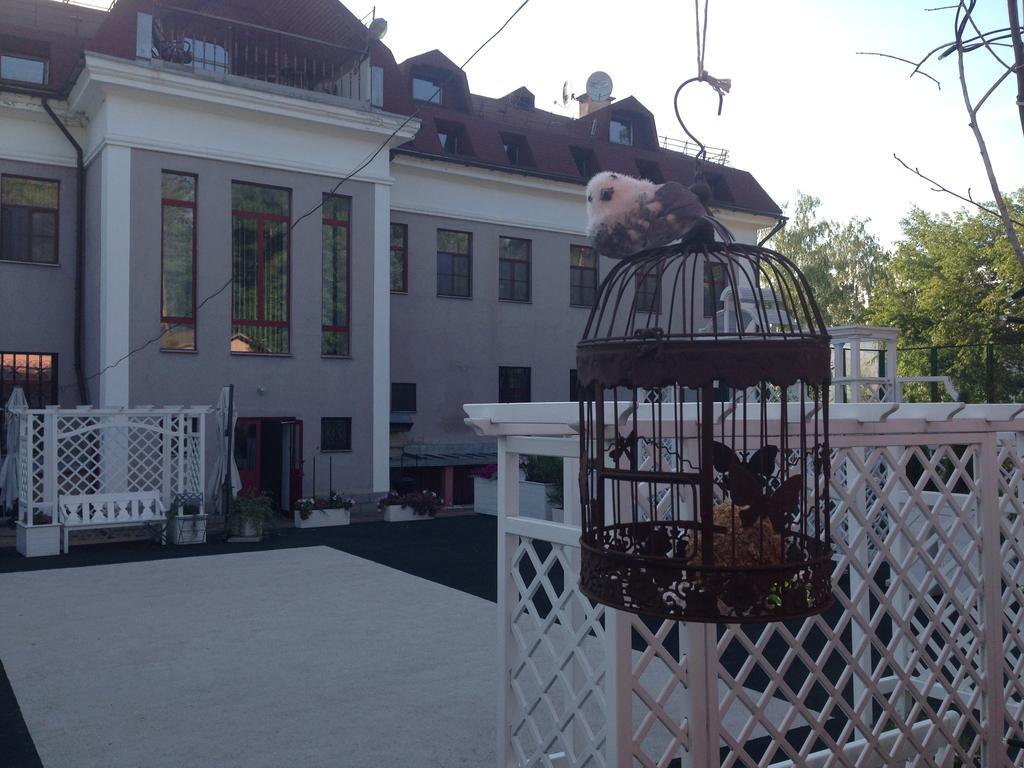 Фото Боровница