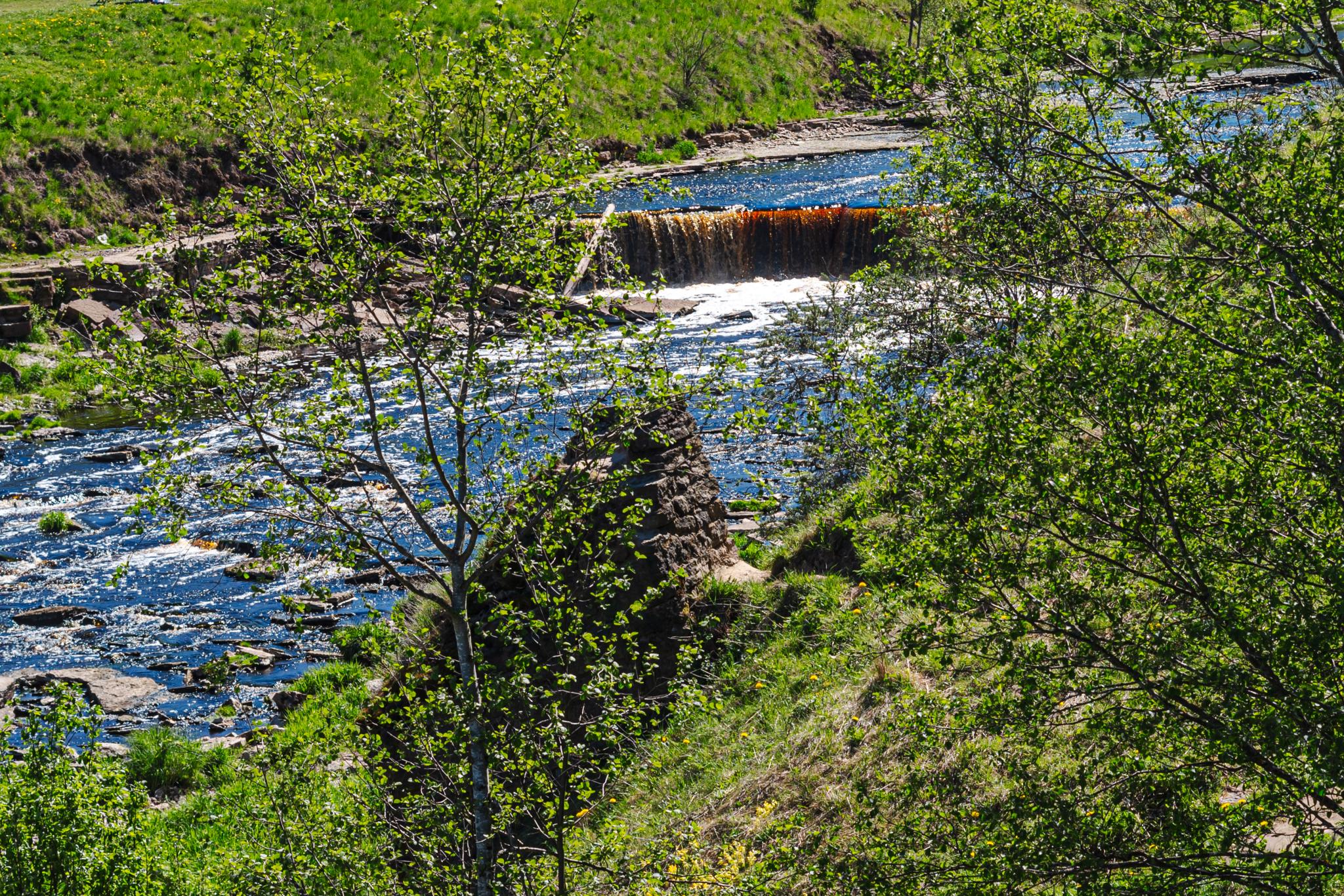 Фото Саблинские Дачи
