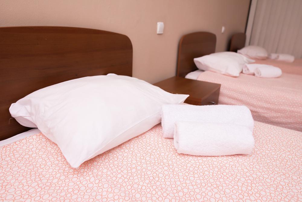 Фото Азалия на Аграрной