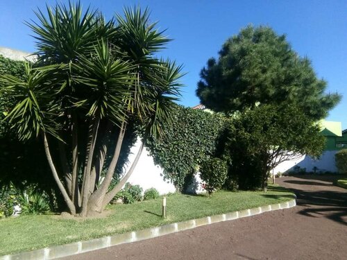 Гостиница Impeccable 1 Bed Villa in Ribeira Grande
