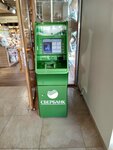 Sberbank of Russia (Pokrovskoye Village, Tsentralnaya Street, 33к9), payment terminal