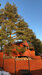 Fox nose Holiday Houses