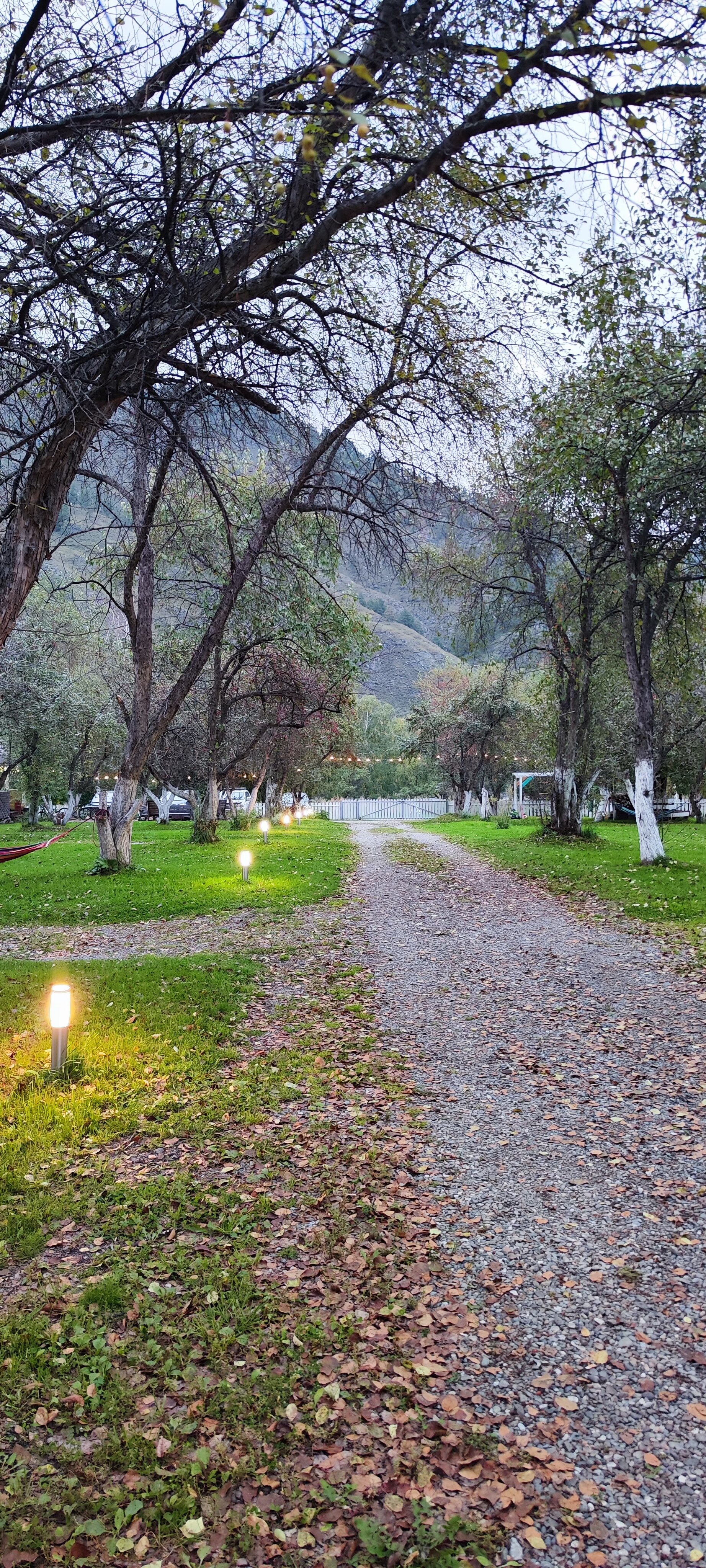 Фото Апартаменты Алама