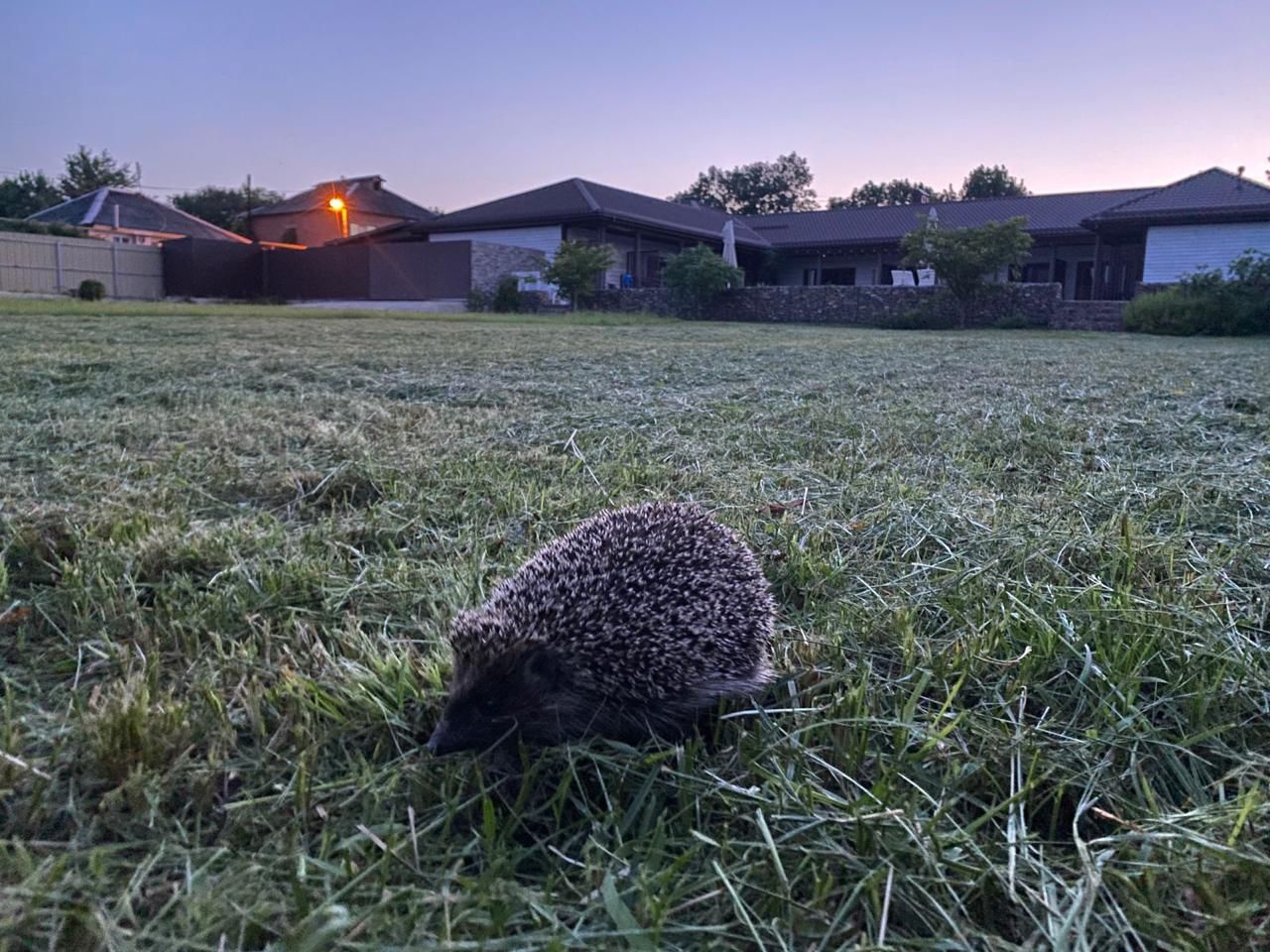 Фото Соль и Солнце