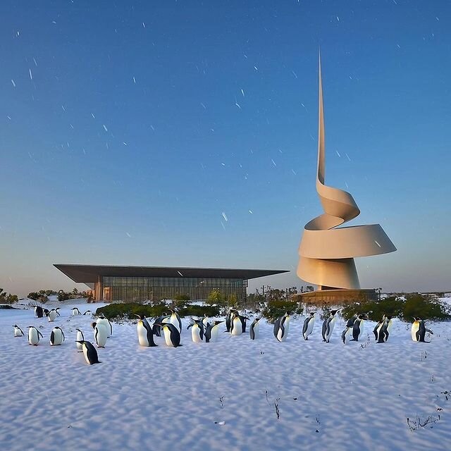 Library House of Wisdom, Sharjah, photo