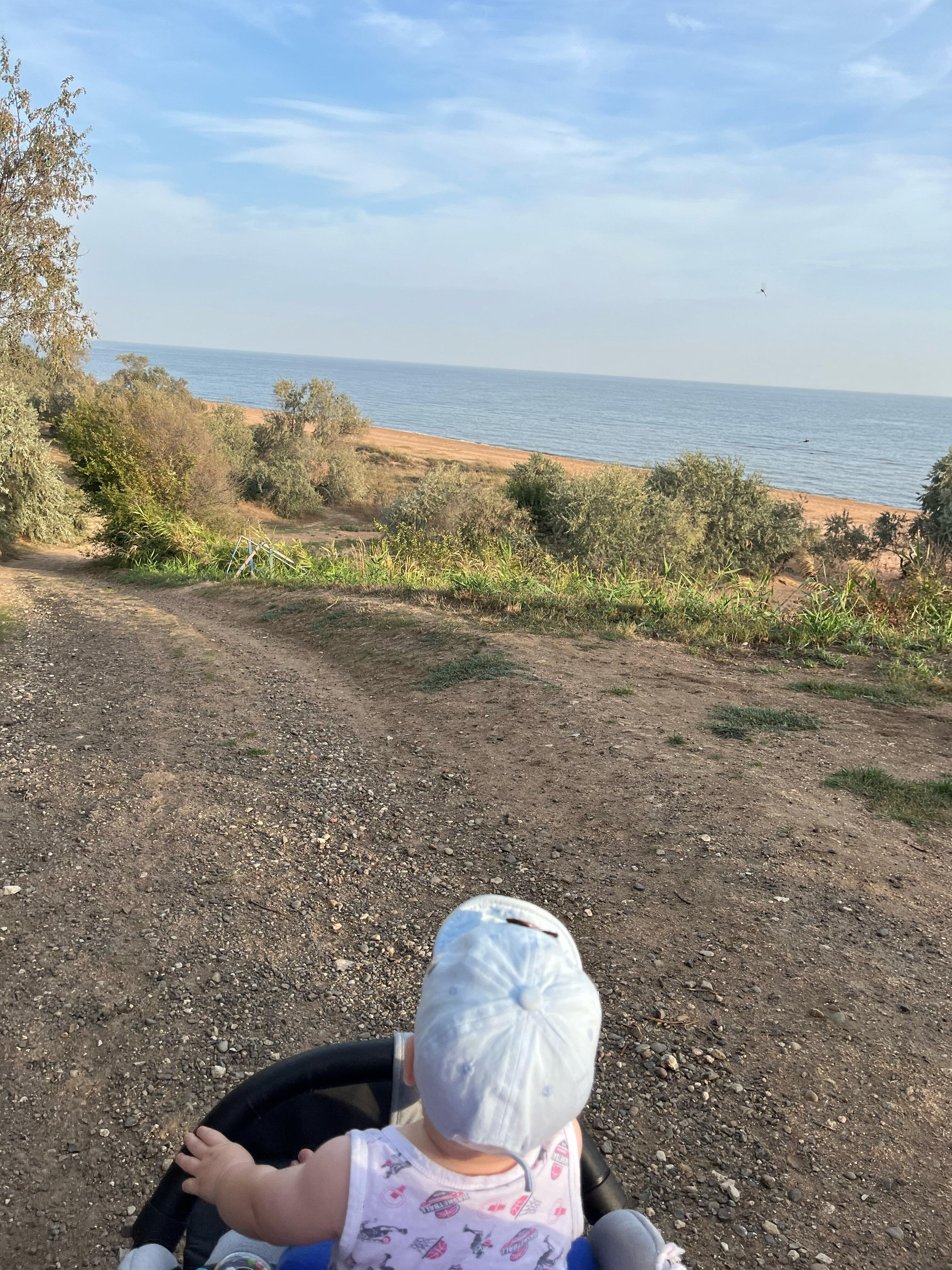 Фото Привет, родной!