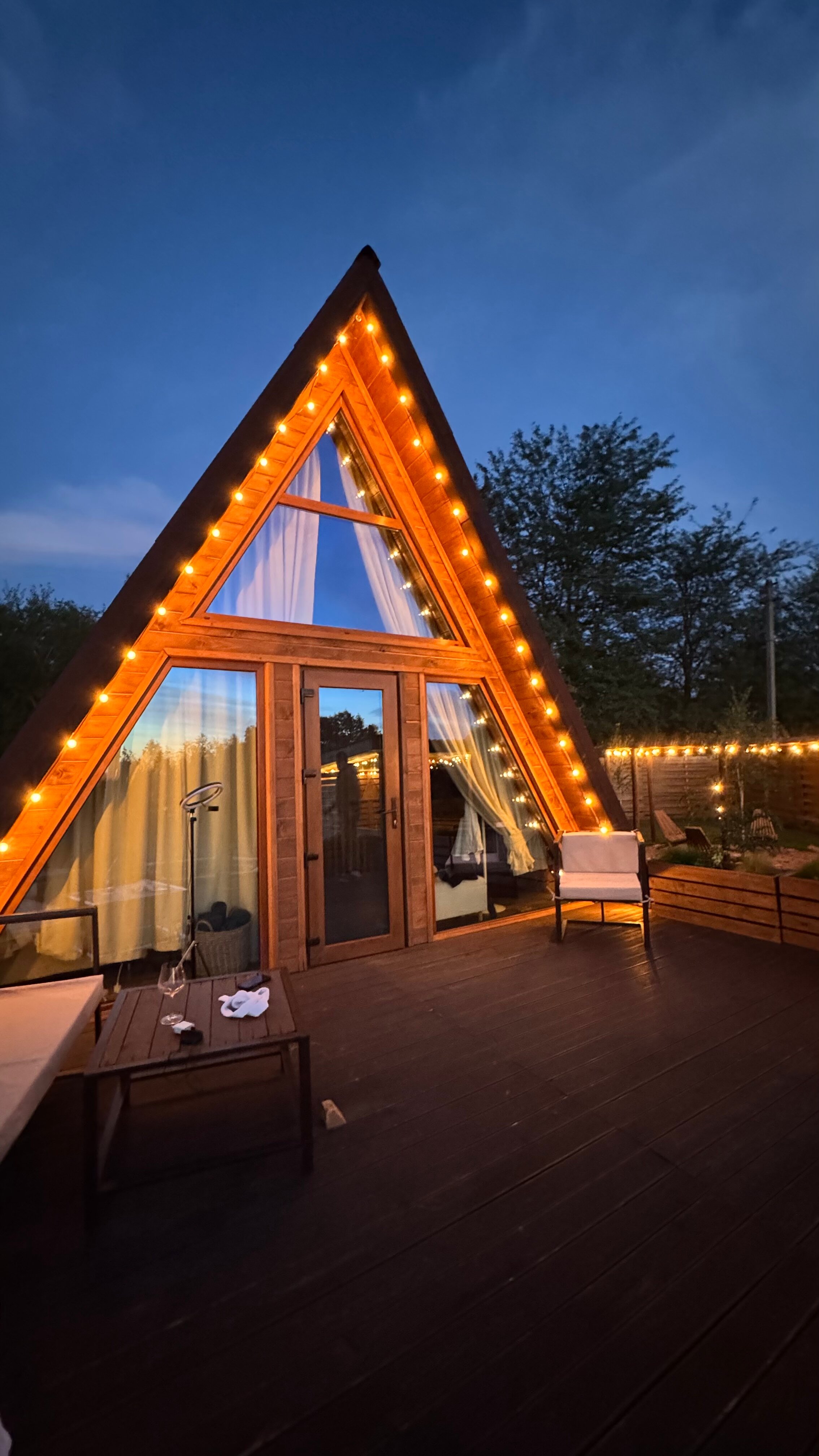 Фото Гнездо