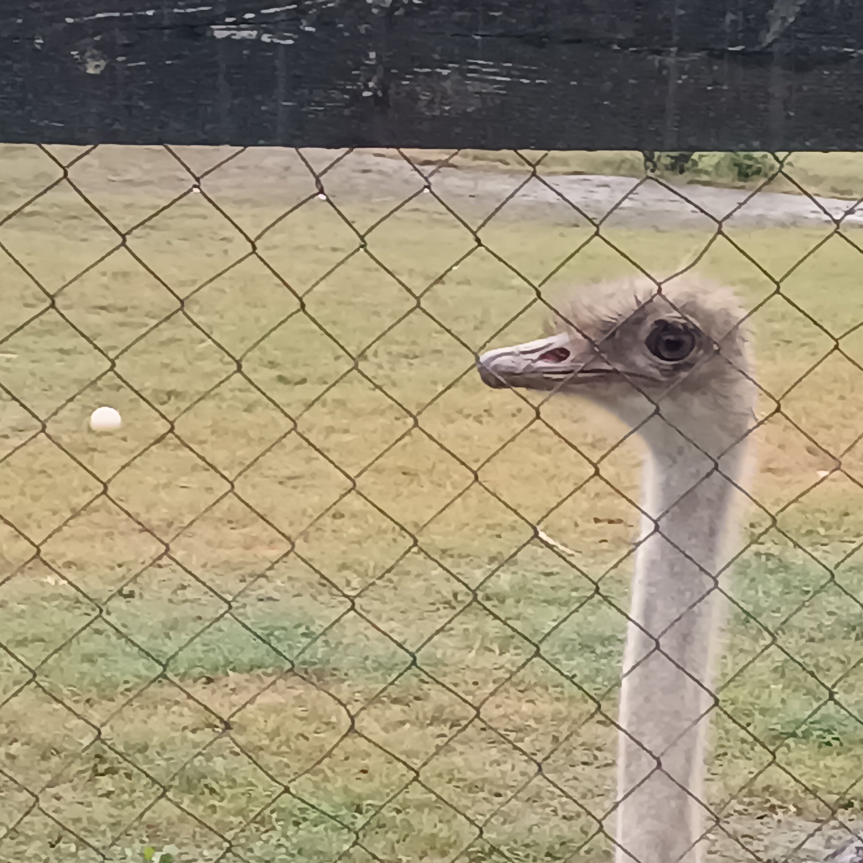 Фото Фермер