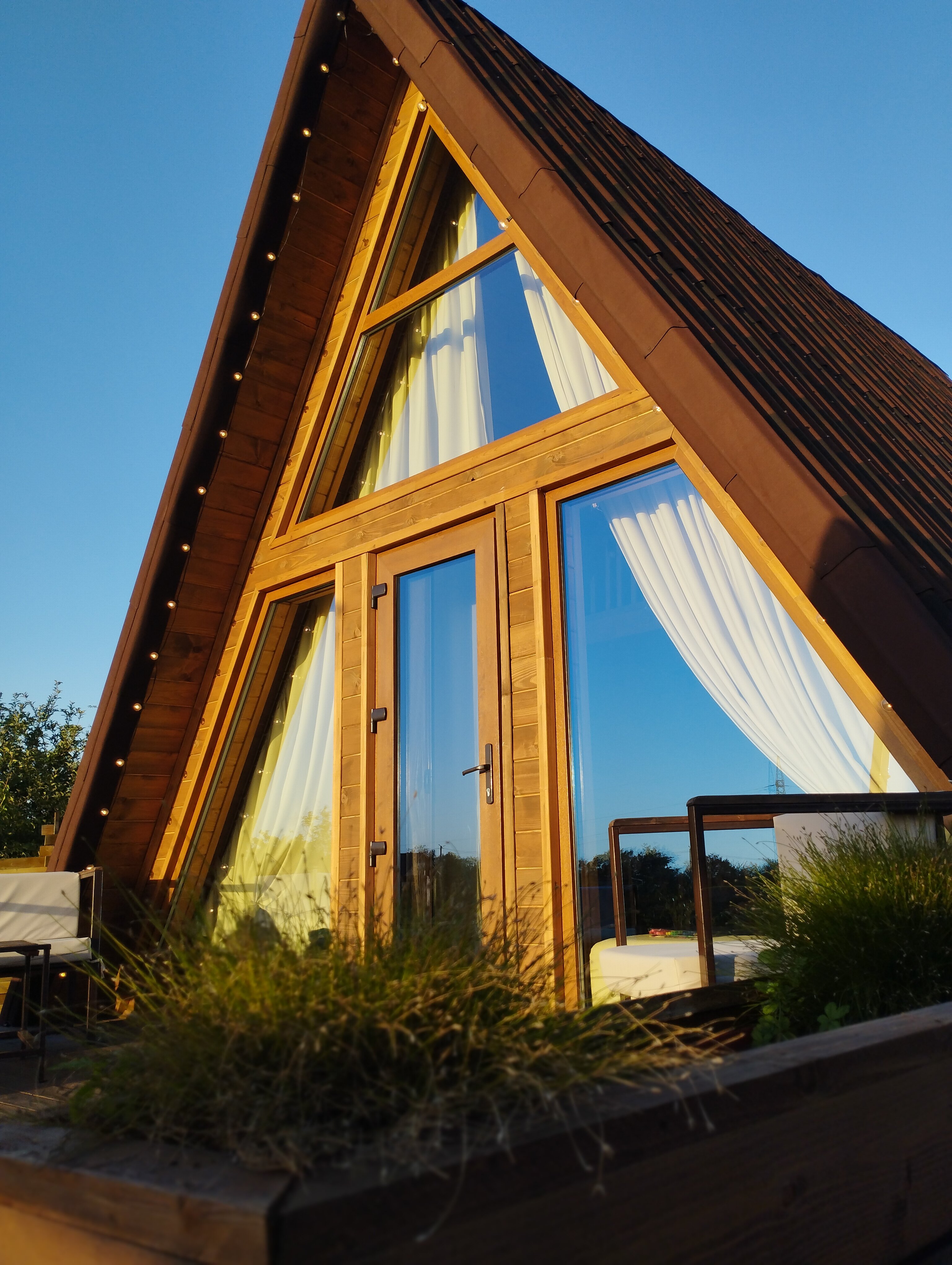 Фото Гнездо