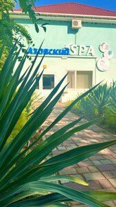Азовский, SPA-центр (Autonomous Republic of Crimea, Leninskiy rayon, Ostaninska silska rada), spa