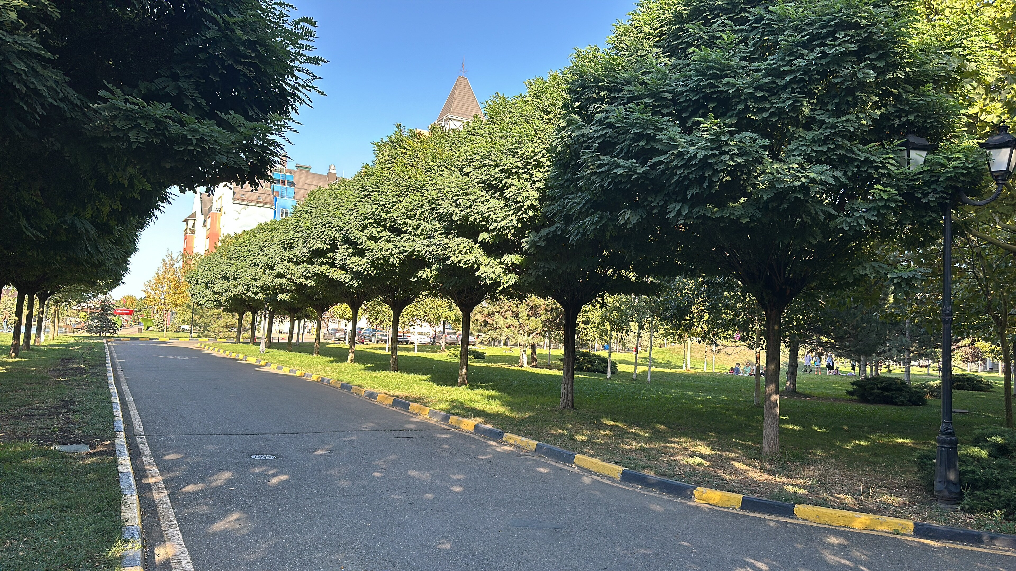 Фото Мюллер Бах