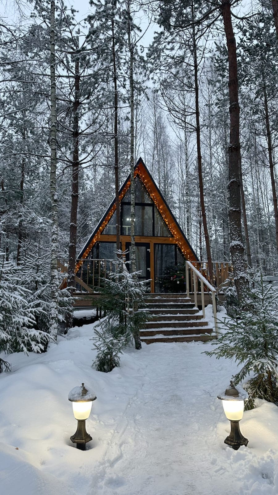 Фото Лесная сказка