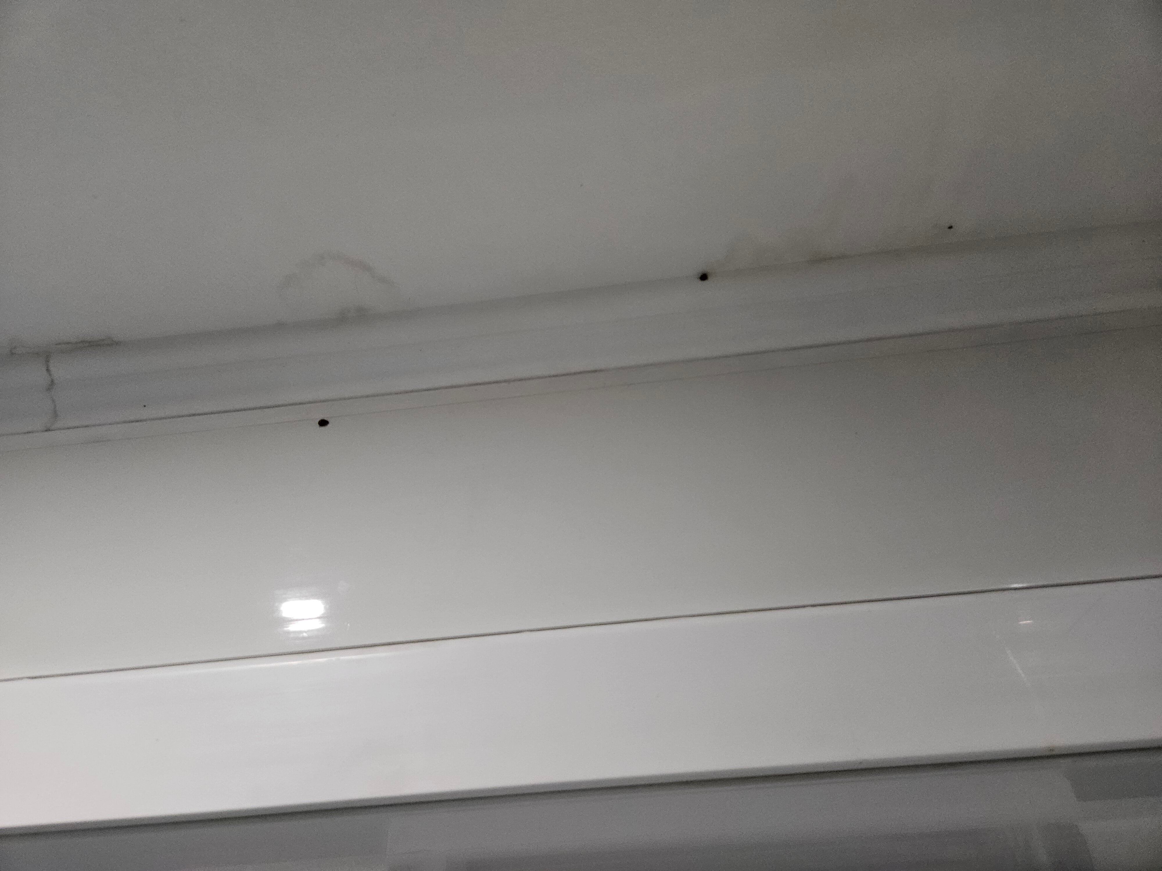 Фото Медвежий угол