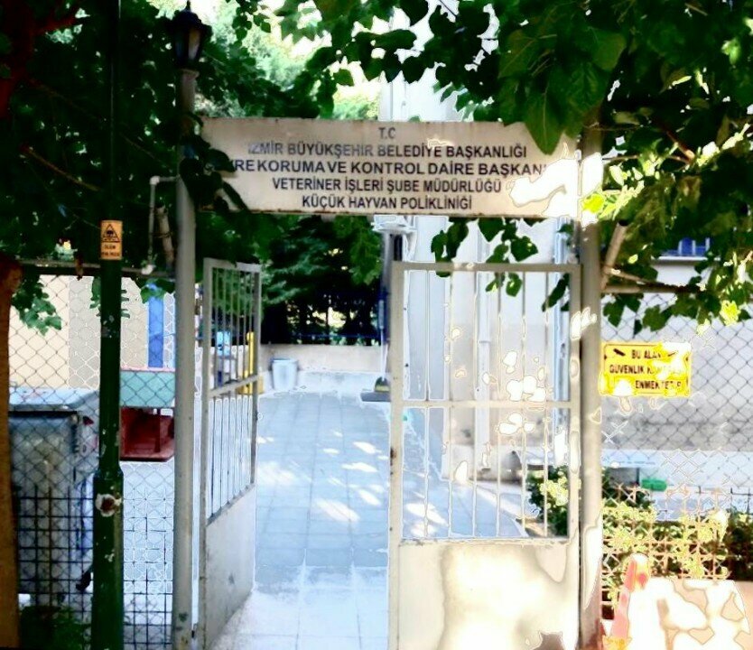 عيادة بيطرية Izmir Metropolitan Municipality Directorate of Veterinary Affairs ، إزمير، صورة