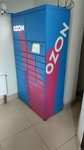 Ozon box (Proletarskaya Street, 16к1), parcel automat