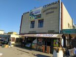 Tashkent (Vasiliy Molokov Street, 127) ، مقهى