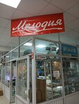 Мелодия (mikrorayon Novy gorod, ulitsa Stanislavskogo, 52Бк13), music store