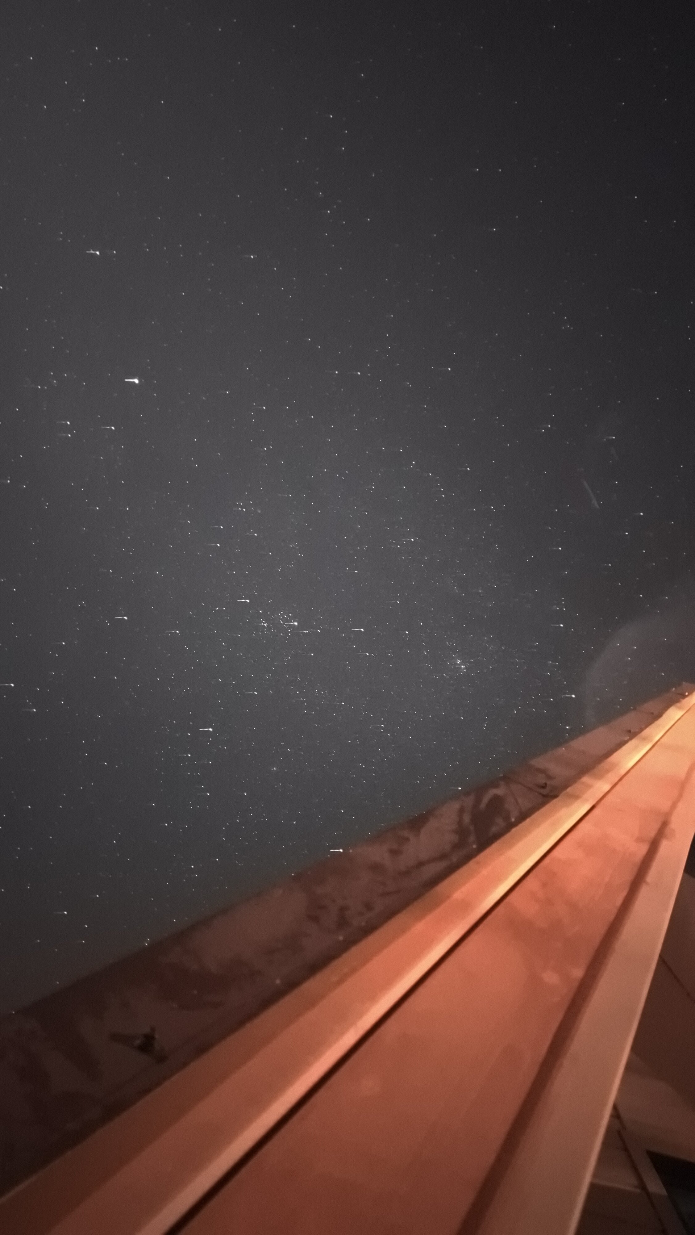 Фото На природе