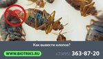 Домодедовский дезинфектор (Korneeva Street, 9А) ، التطهير وإزالة الطفيليات والآفات