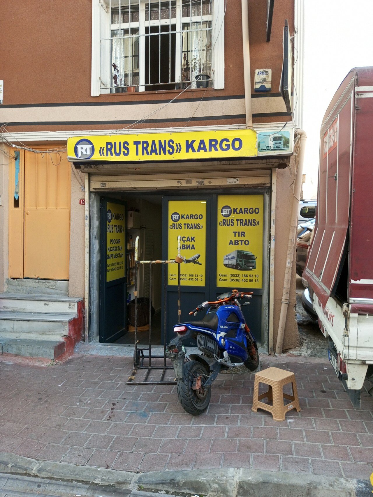 It uslubidagi yalangoch mushukning fotosurati